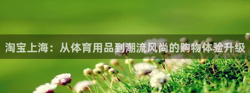 鲸鱼体育直播在线观看