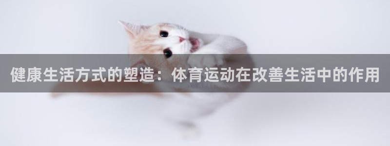 鲸鱼体育直播足球
