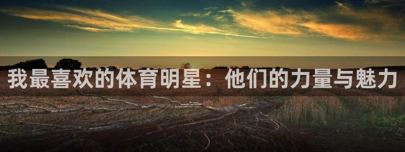 鲸鱼体育苹果版下载：我最喜欢的体育明星：